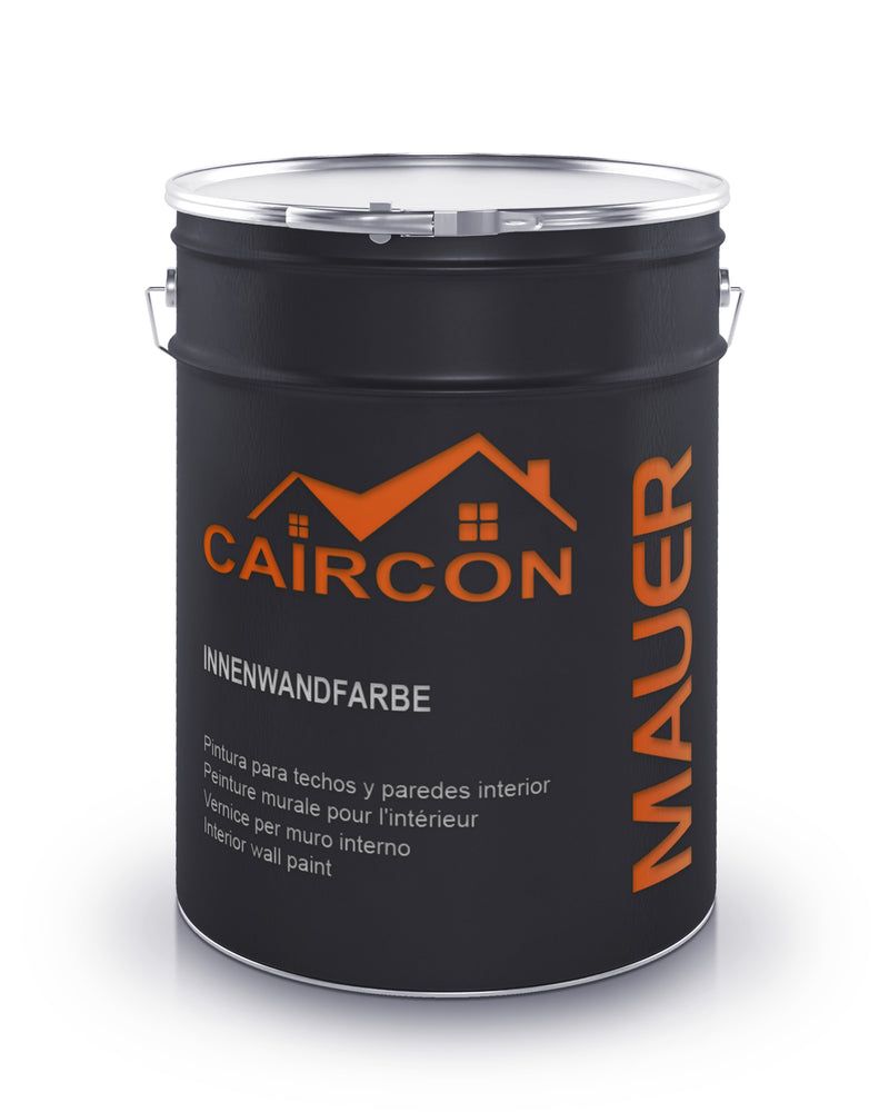 Thermo peinture murale climat intérieur blanc 5-10L 