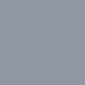 Gris argent RAL 7001