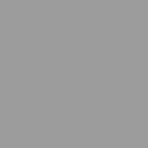 Gris clair nacré RAL 9022