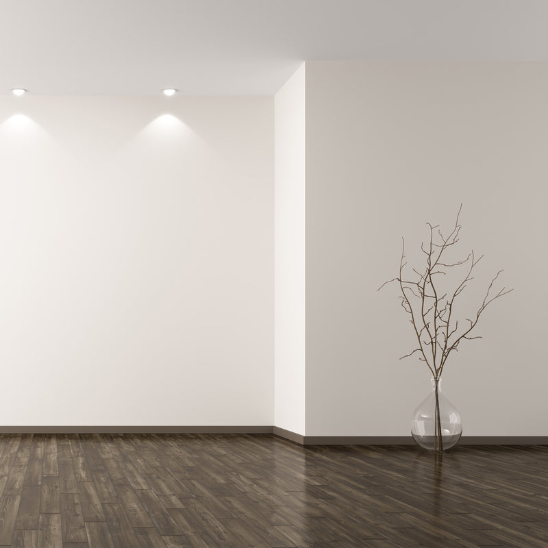 Thermo peinture murale climat intérieur blanc 5-10L 