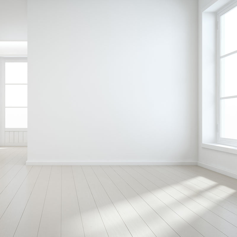 Thermo peinture murale climat intérieur blanc 5-10L 