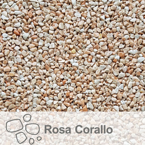 Rosa Corallo